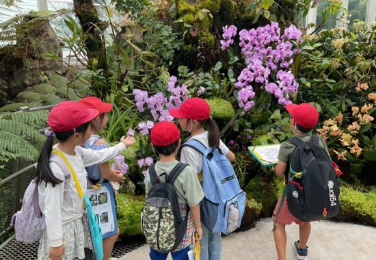 【2年生】自然の中で広がる学びの一日~ボタニックガーデン校外学習~