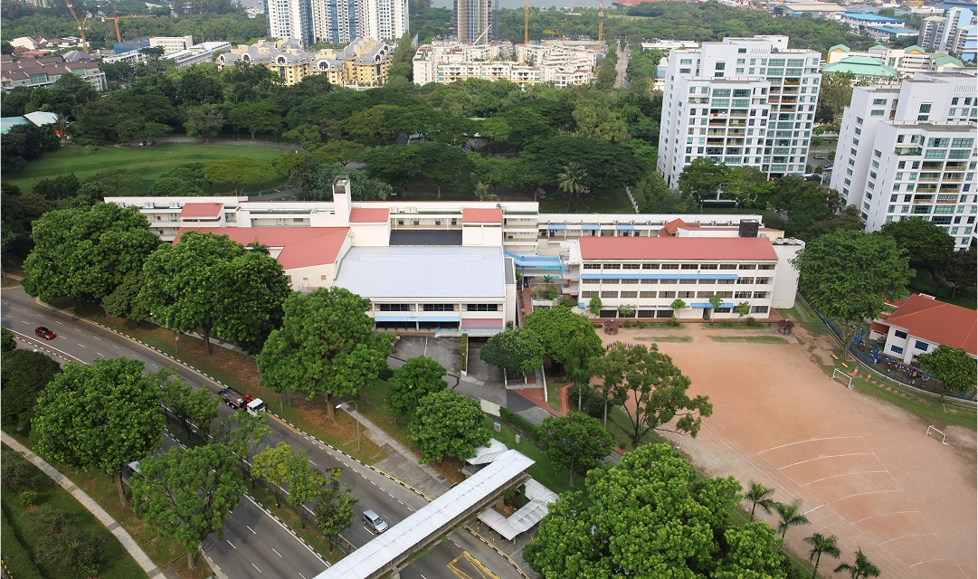 日本文化×海外経験で
広がる視野