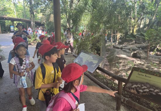 シンガポールZOOへGO 1年生