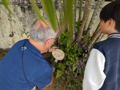 未来への足跡 6年生